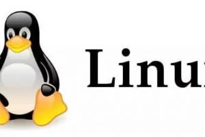 linux安装截图
